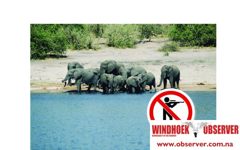 Namibia refuses to bow to global anti-hunting lobby