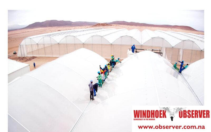 Green hydrogen is ‘win-win’ for Namibia, Germany