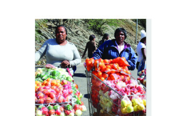 Informal sector now worth N$240.5 billion