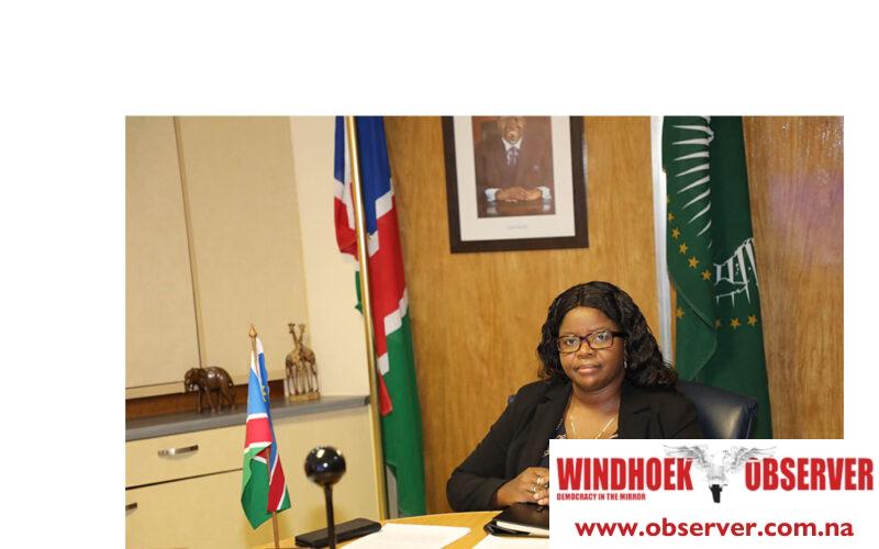 Namibia and EU celebrate growing partnership