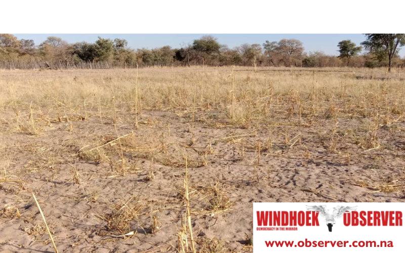 Agriculture Ministry ordered to increase support for resettled farmers