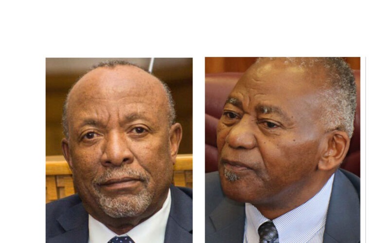 Namibia must remain united and peaceful – Mbumba and Katjavivi urge