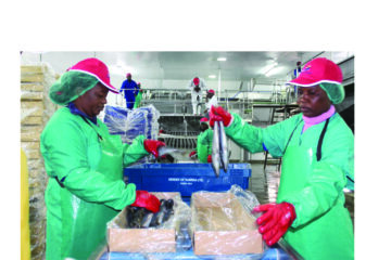 RMB says Namibia’s growth ‘stuck in neutral’