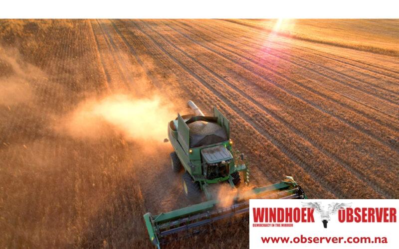 Maize is vital for Southern Africa’s food security