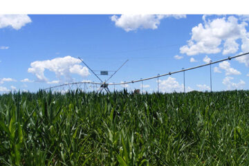 Agra boosted by good rainfall prospects