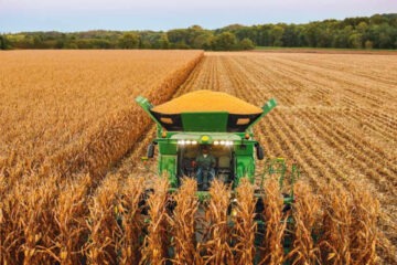 South Africa unlikely to meet its maize export target