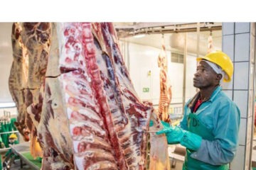 Six-month FMD ban could cut N$3bn from exports