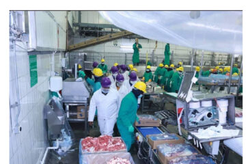 Meatco board fails to appoint CEO as acting term expires