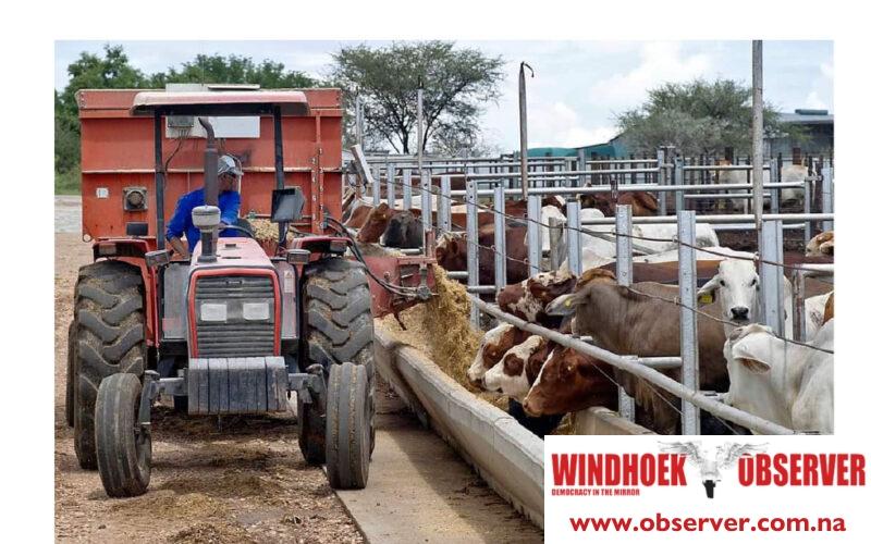 Meatco seeks qualified operators for Okapuka Feedlot