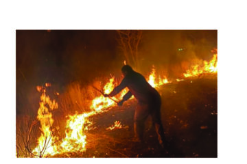 Ministry reviews failures after 38% of Etosha burnt