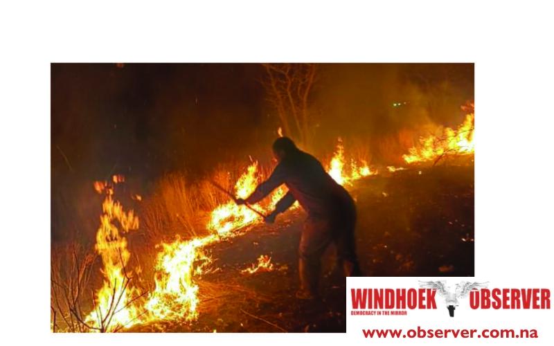 Ministry reviews failures after 38% of Etosha burnt