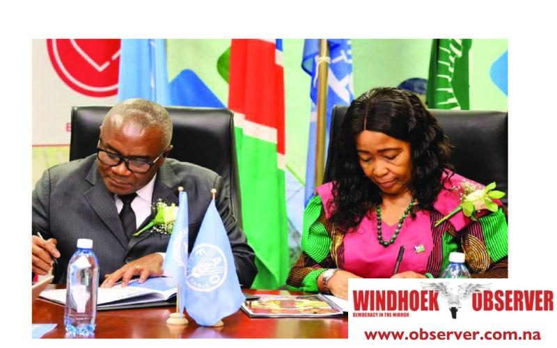 Namibia–FAO food security plan short of N$168 million