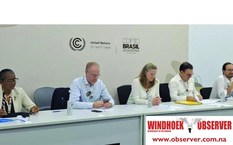 Namibia calls for fair trade rules to reward green economies