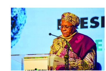 Foreign meddling threatens Africa – NNN