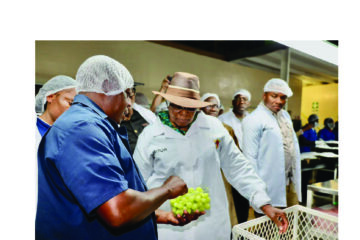 New housing project rolled out for Aussenkehr farmworkers