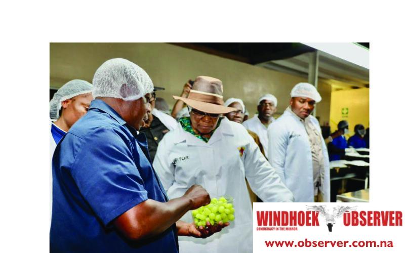 New housing project rolled out for Aussenkehr farmworkers