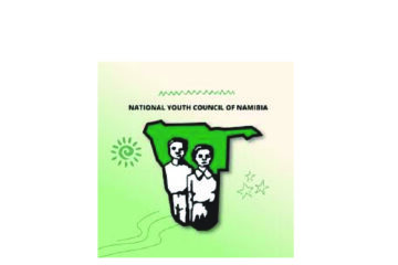 YOUNG OBSERVER | The National Youth Council and the question of youth politics