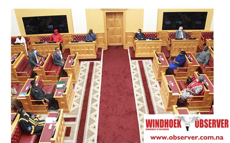 Parliament faces legal and functional challenges over NEFF seats