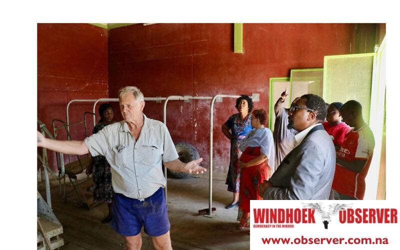 VCF draws red line through beef marketing potential