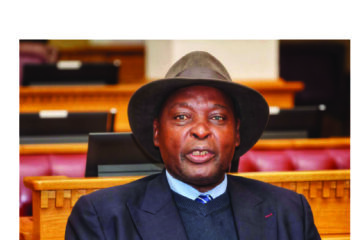 No land auctions under my watch, says Sankwasa …tells councillors to stop favouring foreign companies 