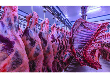 Savanna Beef records N$9.7m operating loss