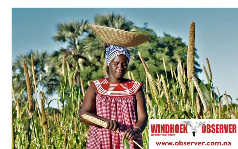 Amended seed regulations aimed at ending hunger