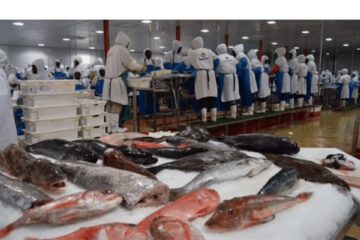 ‘Seeds planted’ for 2027 growth — Simonis Storm