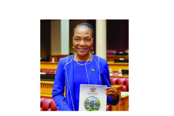 Standard Bank urges strict discipline in budget rollout 