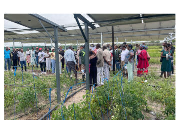 Farmers embrace solar-powered agriculture