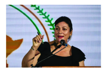 Free tertiary education: Steenkampwarns against over-enrolment …NSFAF lowers income loan threshold to N$100 000