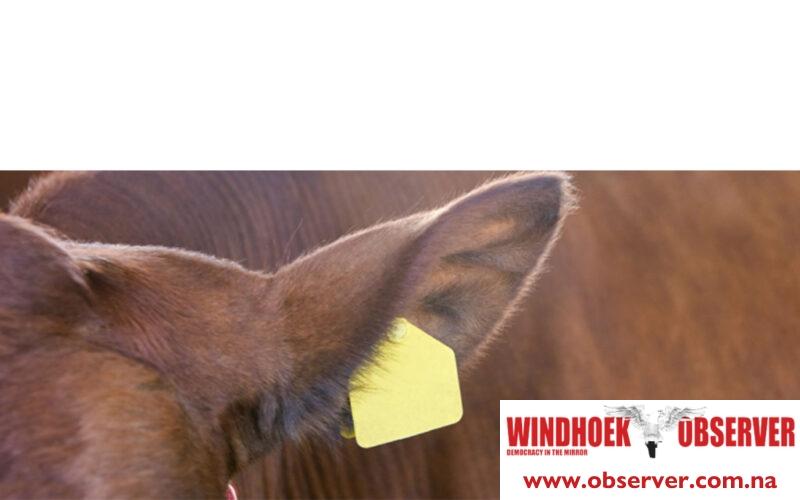 LLPB announces ear tag price increase