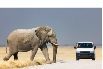 Tourism continues to show positive momentum