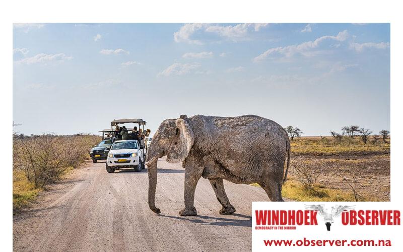 Tourism revenue expected to stay above N$3.5 billion