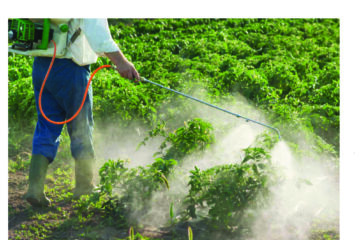 Trade balance records deficit of N$2.9 billion in October