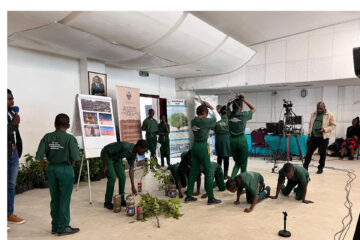 Collective action is needed to combat desertification