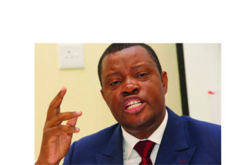 Venaani hits out at SOEs power grab