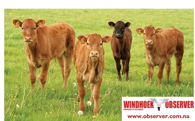 Export of weaners and import of feed to and from SA allowed