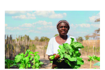 Half a million hole in WFP budget
