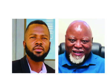 Youth entry into politics a sign of democratic maturity – Analysts